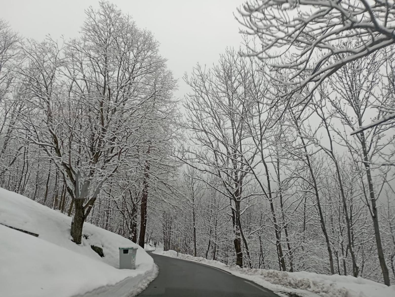 Ca Ad Me Pare Alloggio Con Terrazza Panoramica Moncenisio Dış mekan fotoğraf